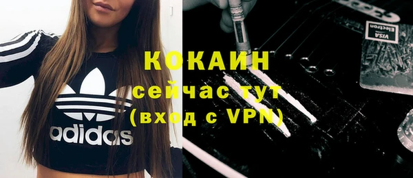молекула духа Осташков