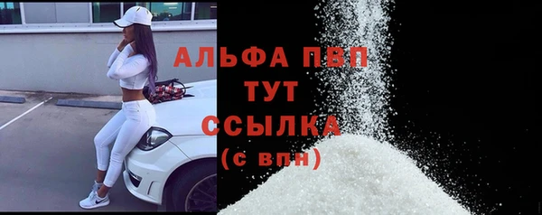 молекула духа Осташков