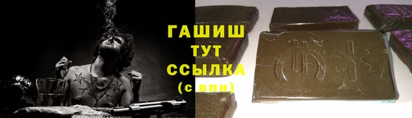 молекула духа Осташков