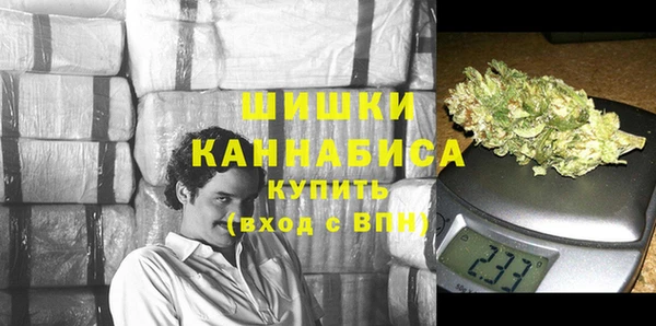 молекула духа Осташков