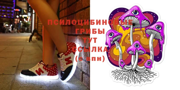 молекула духа Осташков