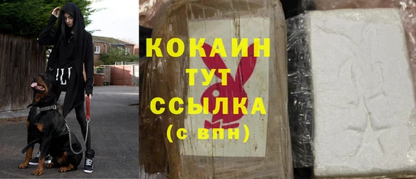 молекула духа Осташков