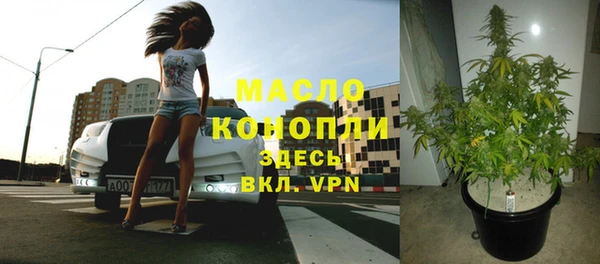 молекула духа Осташков