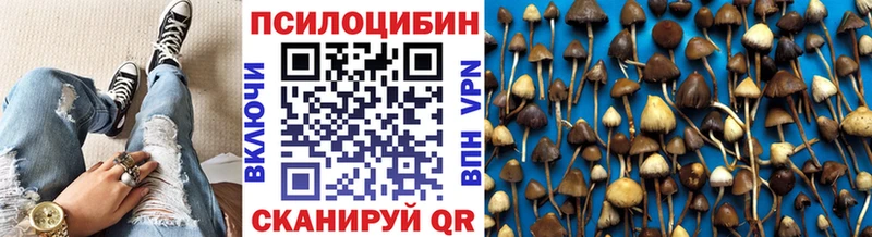Псилоцибиновые грибы прущие грибы  Кизел 